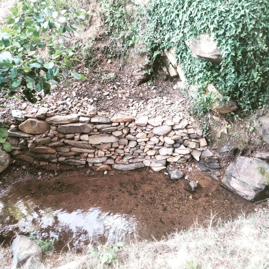 Casa Rural El Arroyo Sotoserrano Zewnętrze zdjęcie